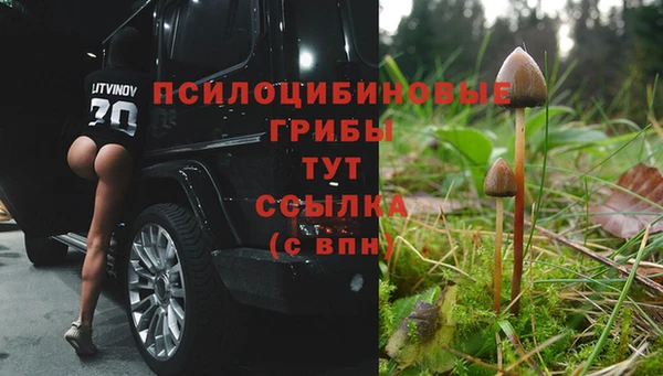 мет Медвежьегорск
