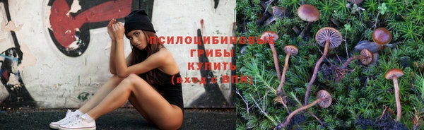 гидропоника Медногорск