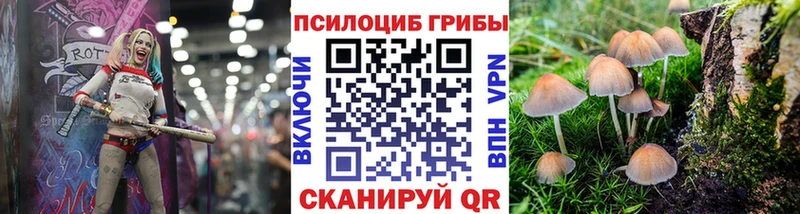 Галлюциногенные грибы Psilocybe Заозёрный